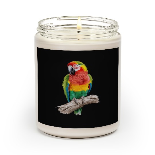 Macaw Parrot for a Bird Lover Animal Lover Scented Candles