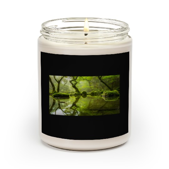 Enchanted Forest Reflections in Tranquil Pond Scented Candles