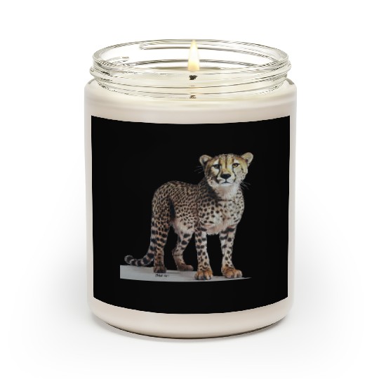 Cheetah Scented Candles