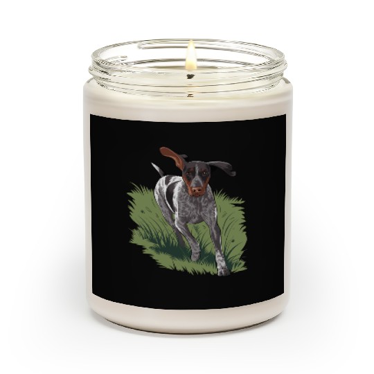 German Shorthaired Pointer Running In Field Scented Candles