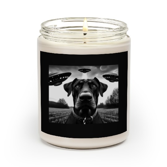 Doberman Pinscher2 Funny Graphic Selfie with UFO W Scented Candles