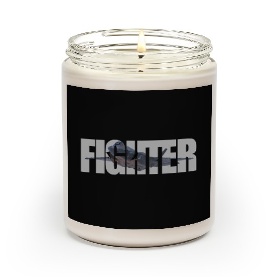 Fighter F-35 Lightning II Scented Candles