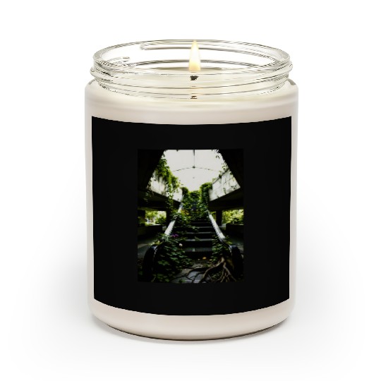 Echoes of Growth Nature Reclaims the Halls Scented Candles