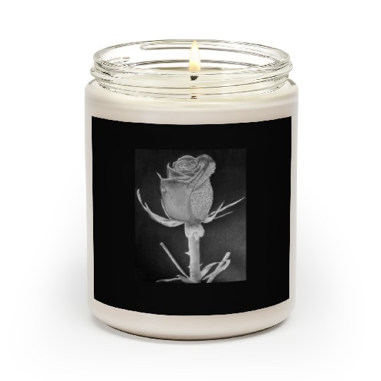 Realistic Graphite Rose & Dew Drawing - RT Art © Scented Candles