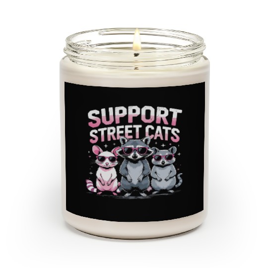 Support Local Street Cats Opossum Raccoon Scented Candles
