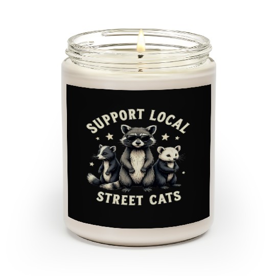 Support Local Street Cats Funny Raccoon Opossum Scented Candles