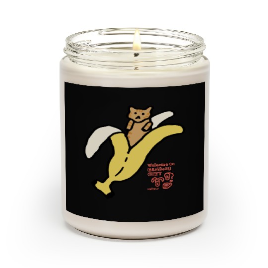 Bananyang - 011. Cheese Tabby Scented Candles