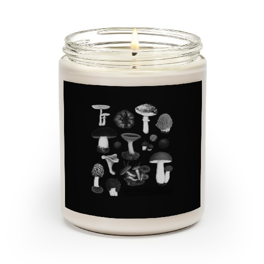 Forest Gems – Scientific Wild Mushroom Chart Scented Candles
