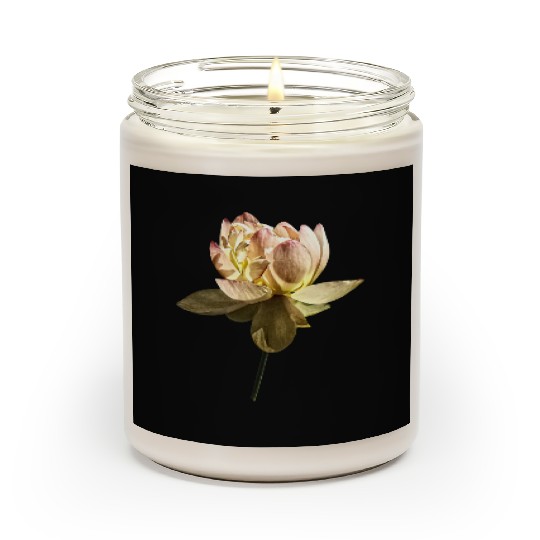 Delicate Pink Lotus Scented Candles