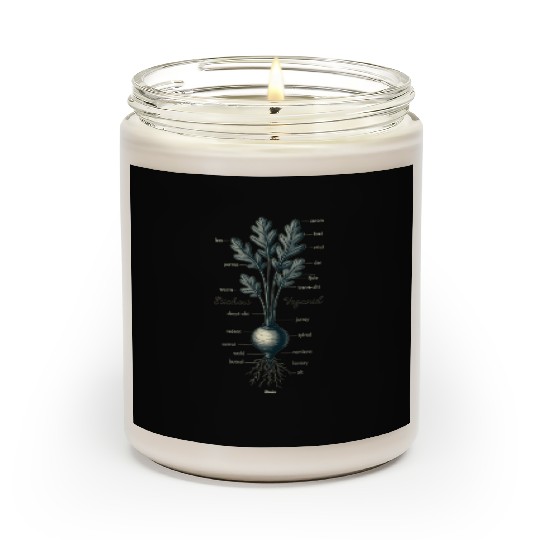 Illustrated Vegetable Cross-Section Design Scented Candles