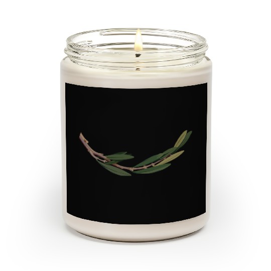 Olive branch 2 Scented Candles