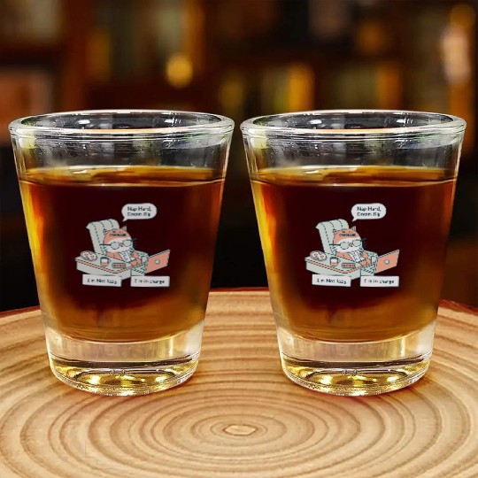 CEO of Chill: Nap Hard, Dream Big Shot Glasses