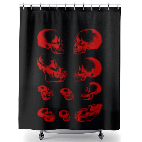 Viva La Evolution - Human and Ape & Monkey Skulls Shower Curtains