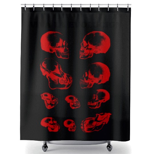 Viva La Evolution - Human and Ape & Monkey Skulls Shower Curtains