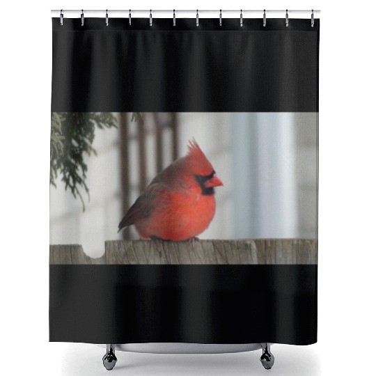 Brilliant Cardinal Bird 2 Shower Curtains