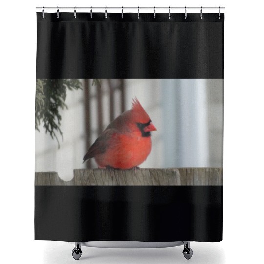 Brilliant Cardinal Bird 2 Shower Curtains