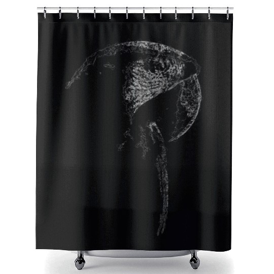 Macaw Lines Art Shower Curtains