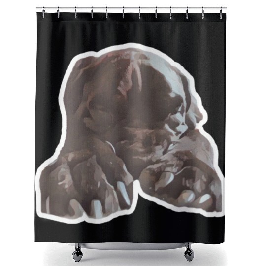Cane corso in its natural sleeping environment Shower Curtains