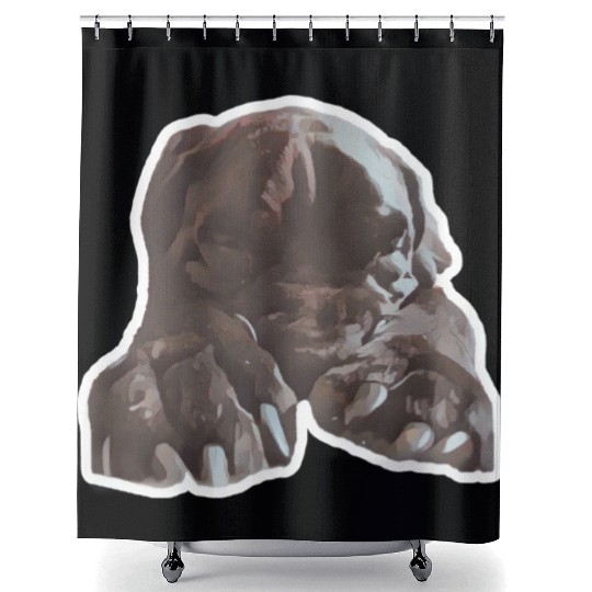 Cane corso in its natural sleeping environment Shower Curtains