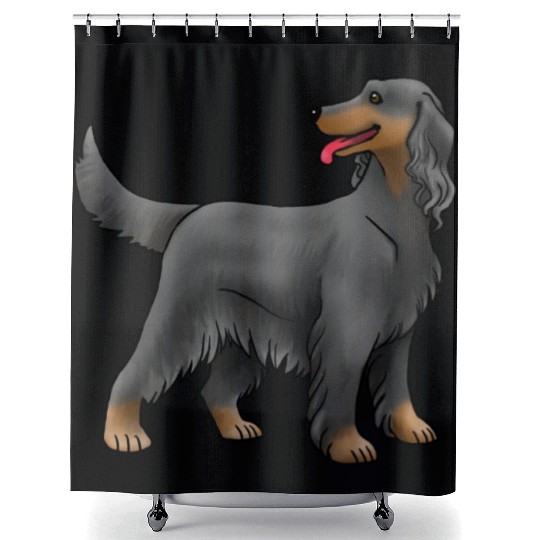 Dog Irish Setter Black And Tan Shower Curtains