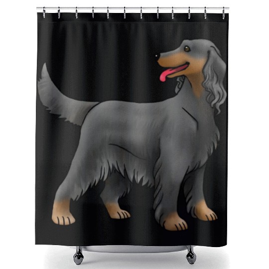 Dog Irish Setter Black And Tan Shower Curtains