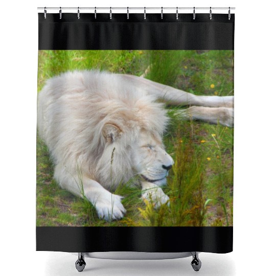 Slumbering Ivory King South African White Lion Shower Curtains