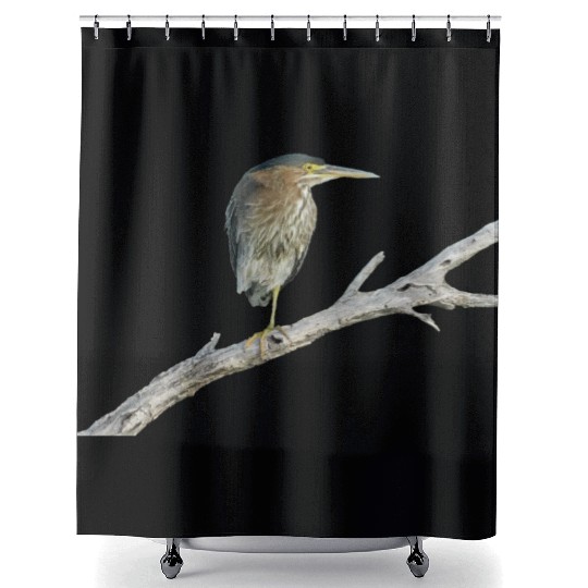 Green Heron Shower Curtains