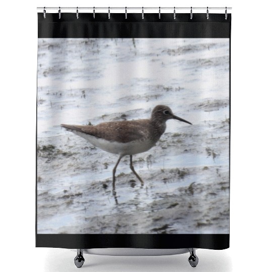 Sandpiper walking along the shore Shower Curtains
