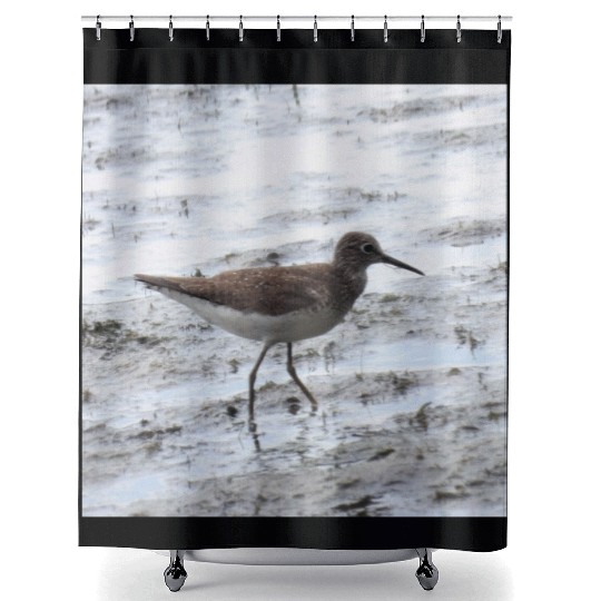 Sandpiper walking along the shore Shower Curtains