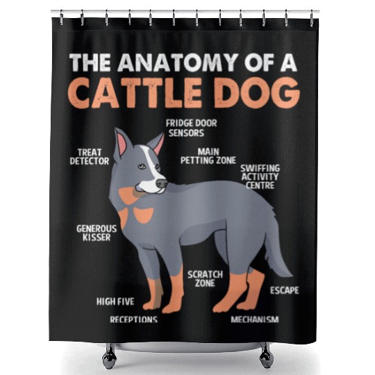 Blue Heeler Cattle Dog The Anatomy Of Cattle Dog Shower Curtains