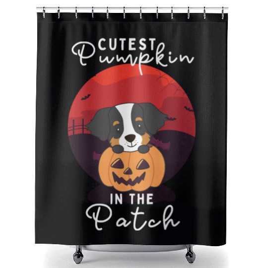 Bernese Mountain Dog Cutest Pumpkin In The Patch Shower Curtains