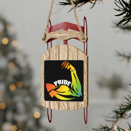 Gay pride Sled Ornaments
