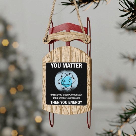 Funny You Matter You Energy Science Geek Quote Sled Ornaments