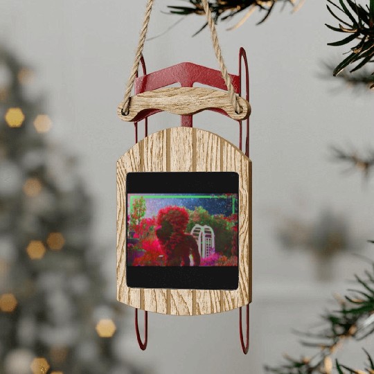 Retro Lion space Sled Ornaments