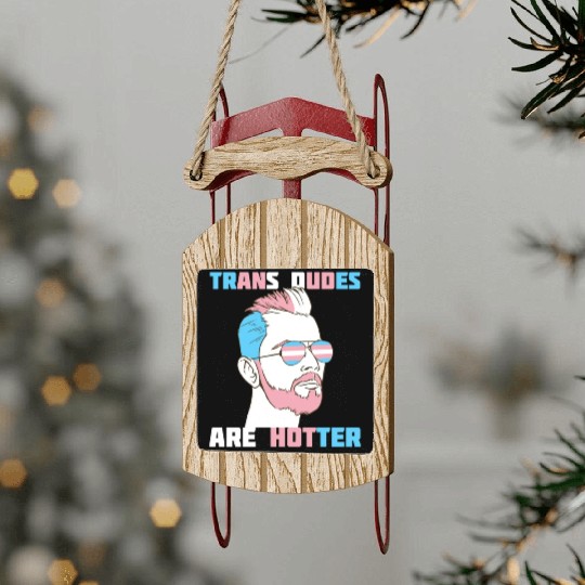 Trans Dudes Are Hotter Transgender Pride Lgbt Sled Ornaments