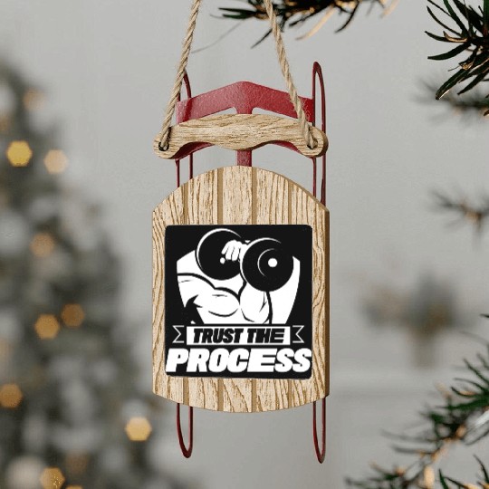 Trust The Process Gym Motivation Fitness Workout Sled Ornaments
