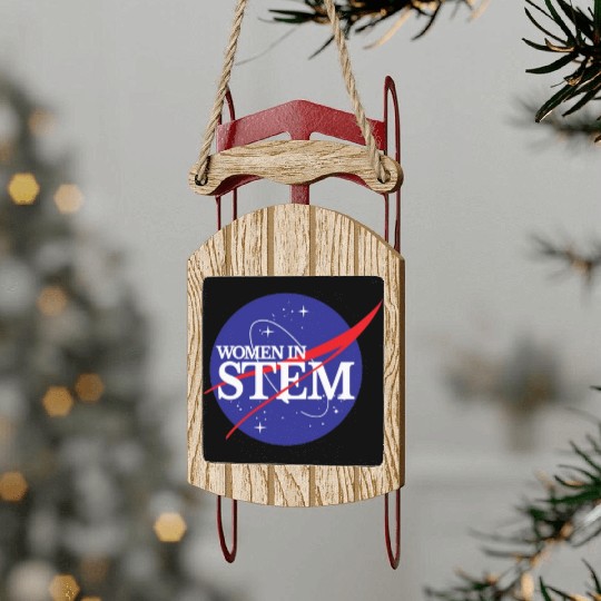 Women In Stem Sled Ornaments NASA Female Scientist