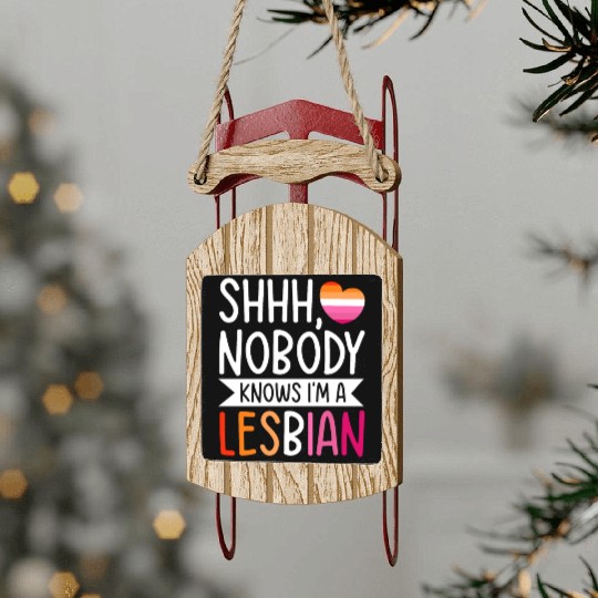 Shhh Nobody Knows I m a Lesbian LGBTQ Gay Pride Sled Ornaments