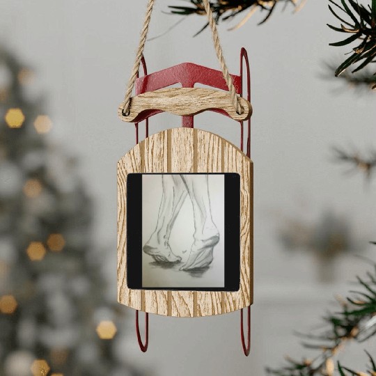 Barefoot Sled Ornaments