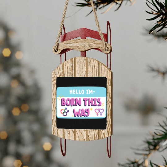 born this way transgender pride Sled Ornaments