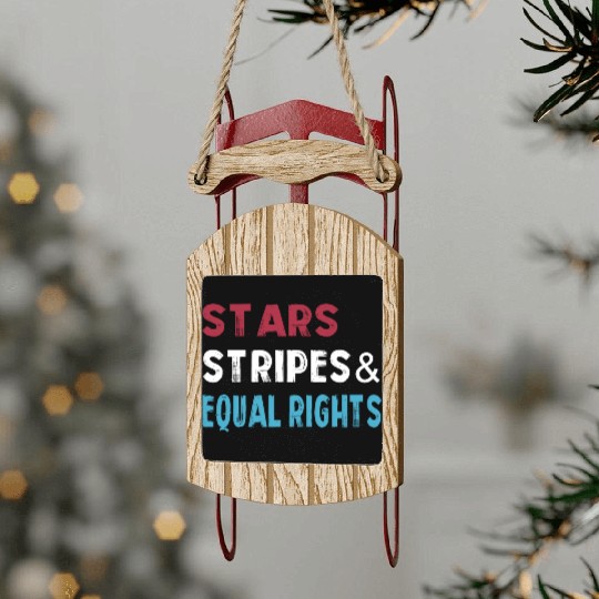 Stars Stripes and Equal Rights 4th of July Women's Sled Ornaments