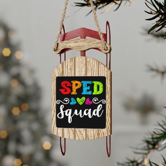 Back To School Team Gift For Special Ed Teacher Sled Ornaments