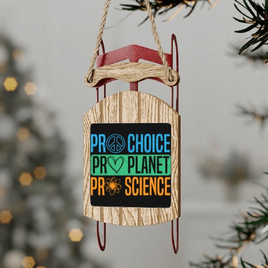 Pro Choice Pro Planet Pro Science Earth Day Sled Ornaments