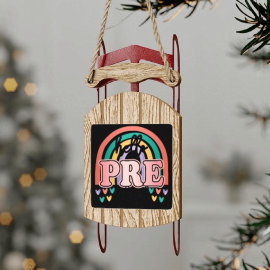 Hello Preschool Boho Rainbow Back To School Sled Ornaments