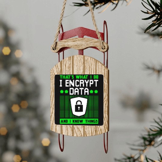 Cyber Security Expert Encryption Sled Ornaments