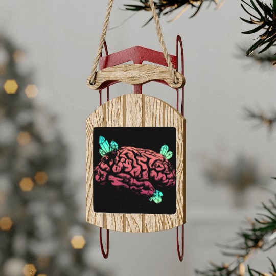 Brain with Crystal - Red and Green Sled Ornaments