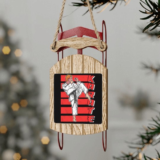 Karate Martial Arts Fighter Belt Coach Sled Ornaments