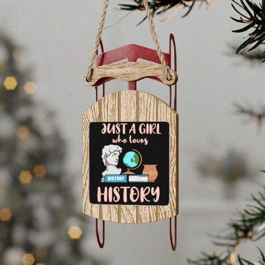 Just A Girl Who Loves History For History Lover Sled Ornaments