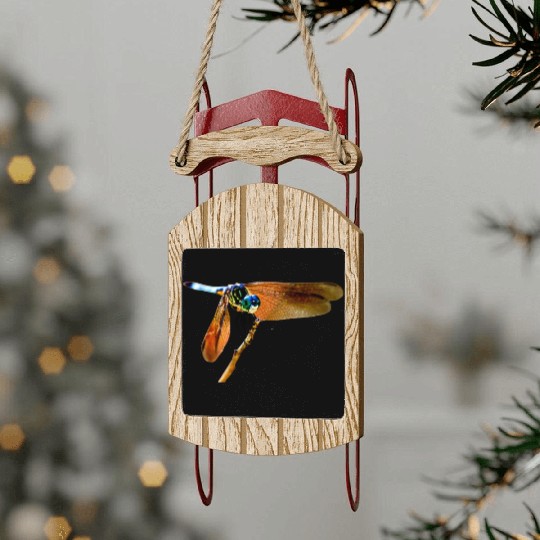 Colorful dragonfly on a branch Sled Ornaments