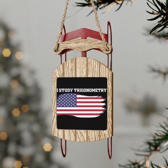 I Study Triggernometry 2nd Aamendment US American Sled Ornaments